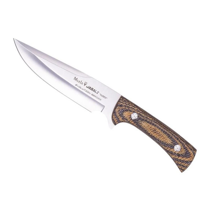 Poignard Muela Jabali Micarta Moutarde/marron 17cm Inox